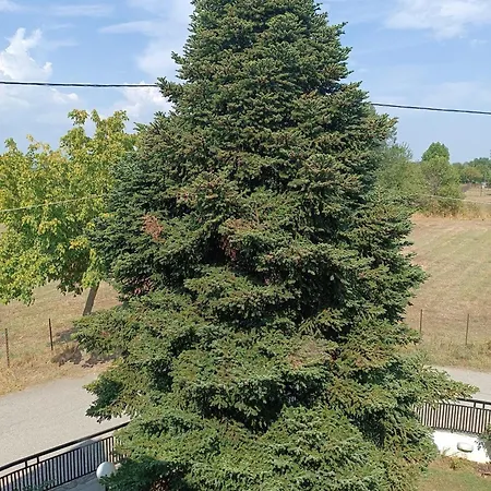 Appartamento La Casa Di Panormita Gomfoi