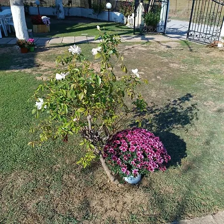 Appartamento La Casa Di Panormita *