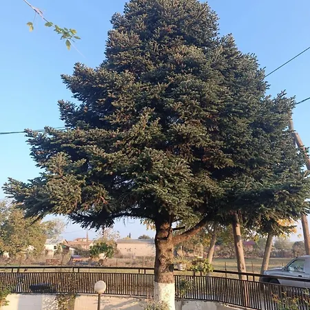 Appartamento La Casa Di Panormita